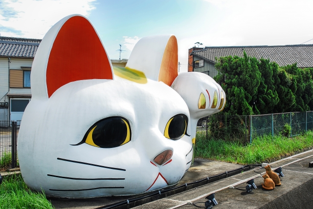 tokoname tokonyan