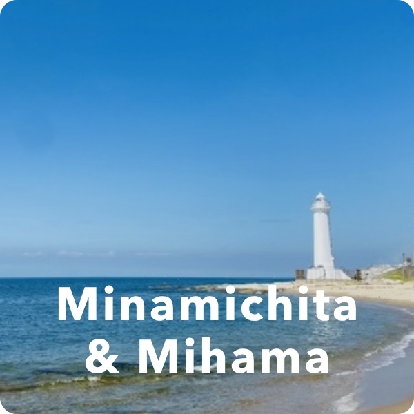 minamichita & mihama