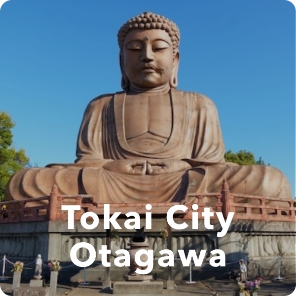 tokai city & otagawa